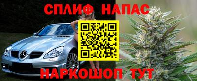 прущие грибы Бугуруслан