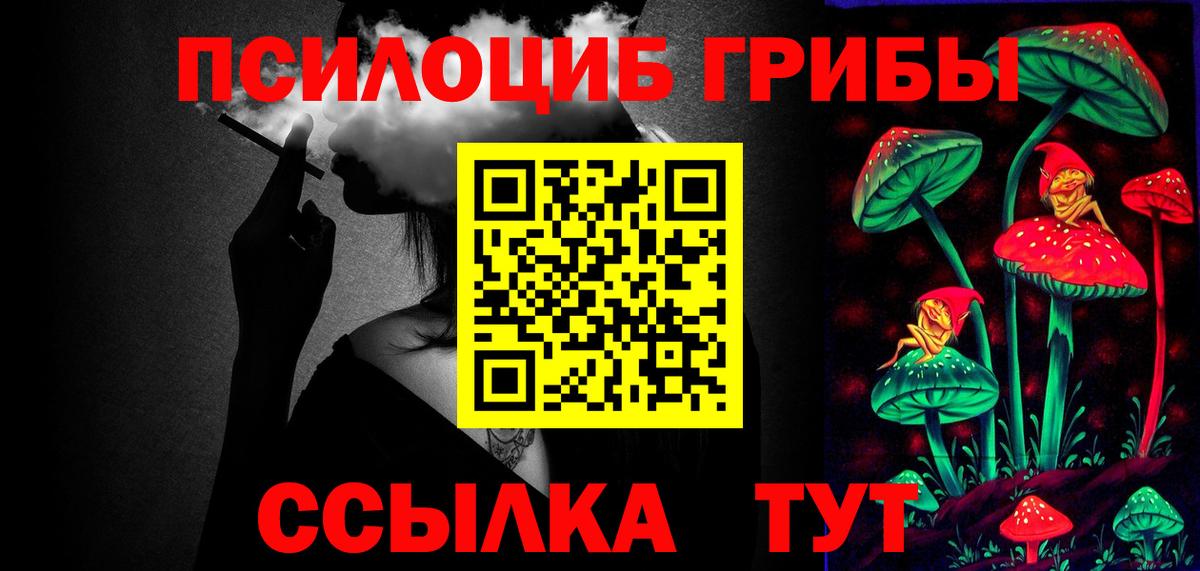 Галлюциногенные грибы Psilocybe Северодвинск
