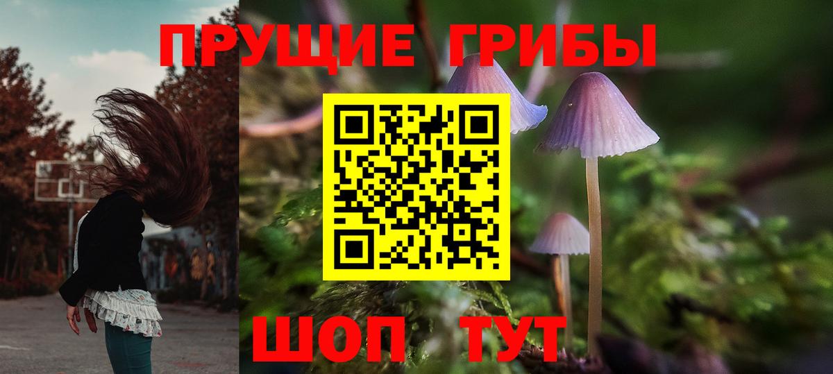 Галлюциногенные грибы GOLDEN TEACHER  Вход с VPN  Галлюциногенные грибы Psilocybine cubensis  Северодвинск 